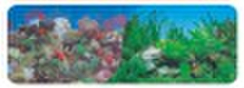 aquarium background(9001/9003)