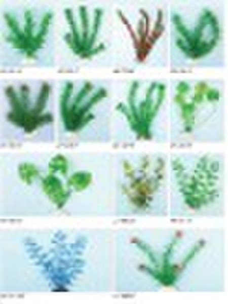 aquarium plants