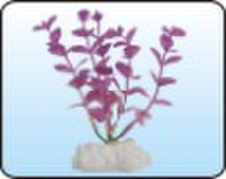 aquarium plants (AP079 4")