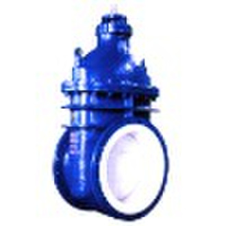 gate valve