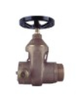 Gate Valve