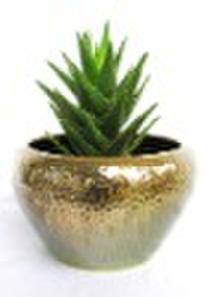 Porcelain Flowerpot ( Ceramic Flower Pot,Ceramic G