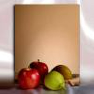 Stainless Steel Color Coating plate