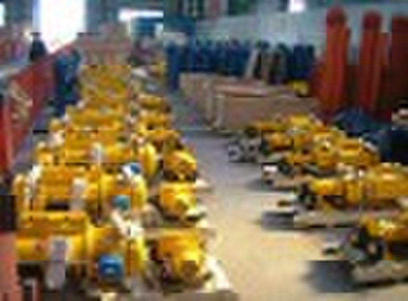CD1 wire rope Electric Hoist/electric hoist