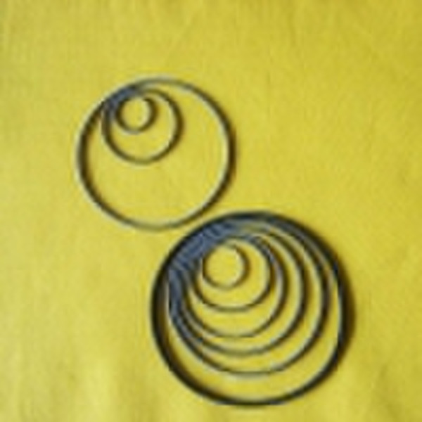 Oil Seal Spring