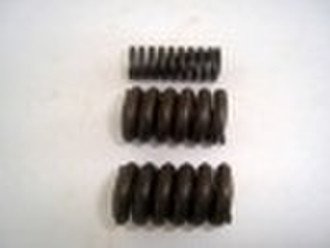 Valve Spring