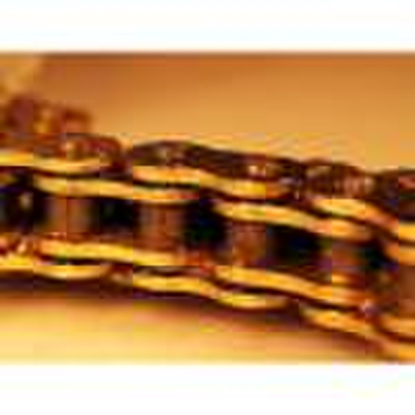 Motorcycle Chain