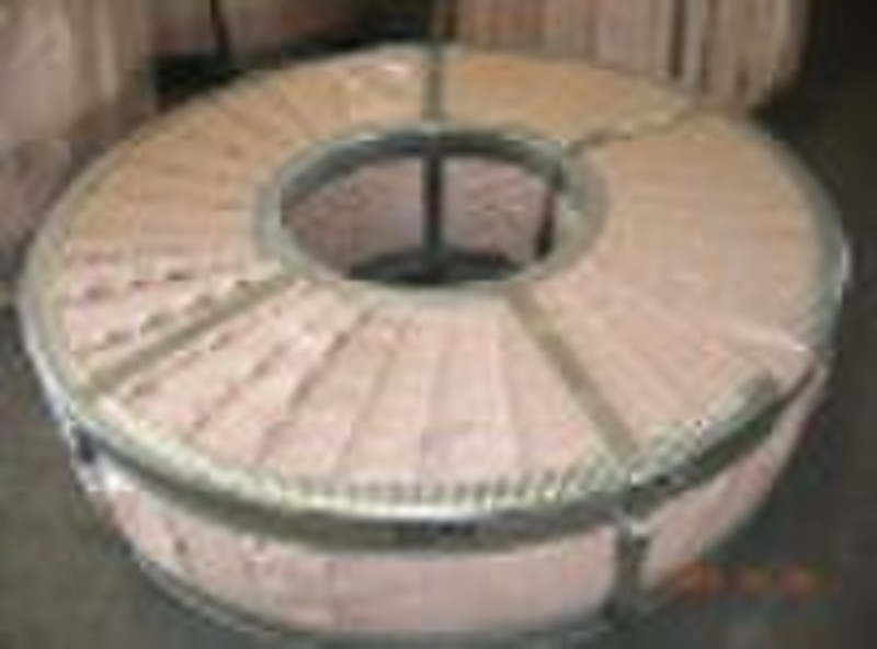 Hot Dipped Galvanized Steel Strips/Coils