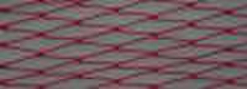 Polyester fishing net