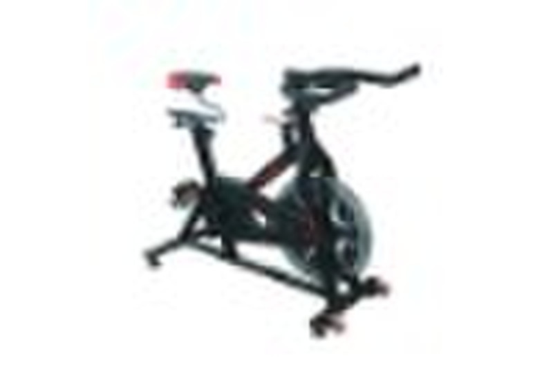 body fit exercise bike