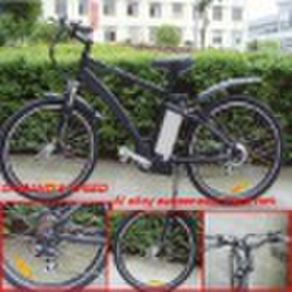 2010 new style e bike