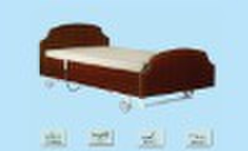 RS101-B Luxurious homecare Electric Bed with Five