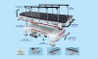 RS111-B-A Luxurious Electric Rise-and-Fall Stretch