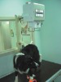 2kW/50mA high frequency portable veterinary X-ray