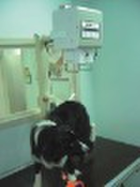 2kW/50mA high frequency portable veterinary X-ray