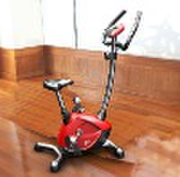 2010 new design exercise bike