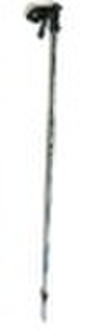 Ski pole