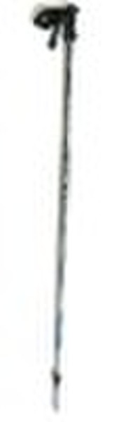 Ski pole