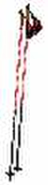 Nordic Walking Stick