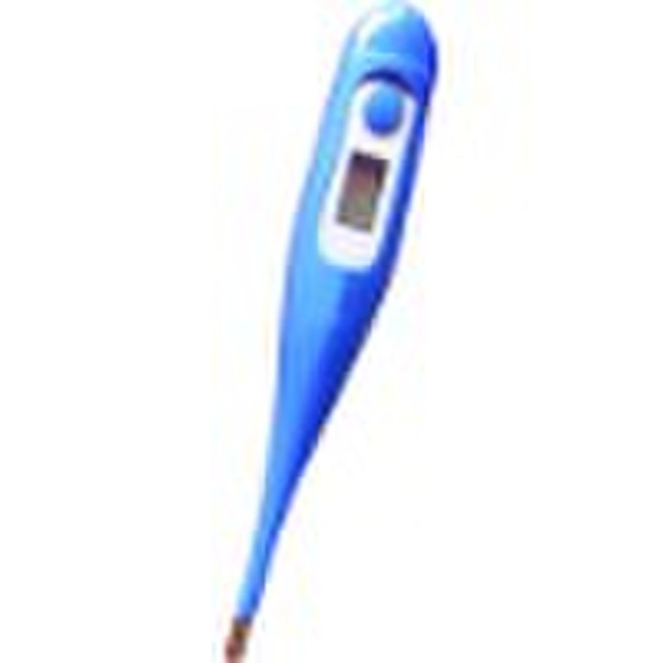 Digital Thermometer