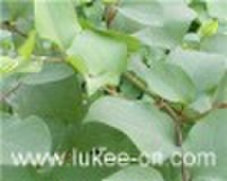 Resveratrol-Polygonum Cuspidatum Extract