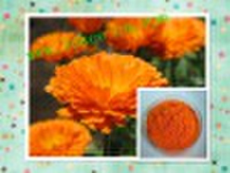 Marigold Extract (Lutein, Zeaxanthin)