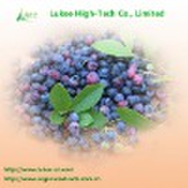 Bilberry Extract (Anthocyanins/ Anthocyanidins)