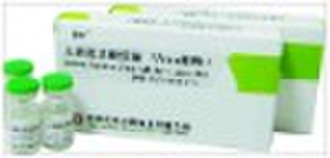 Rabies Vaccine (Vero Cell) for Human Use