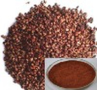 Grape Seed Extract