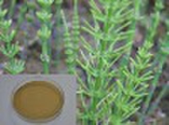 Horsetail P.E.7% Silica acid