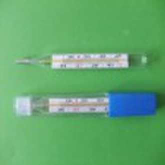 Oral/ Flat Thermometer