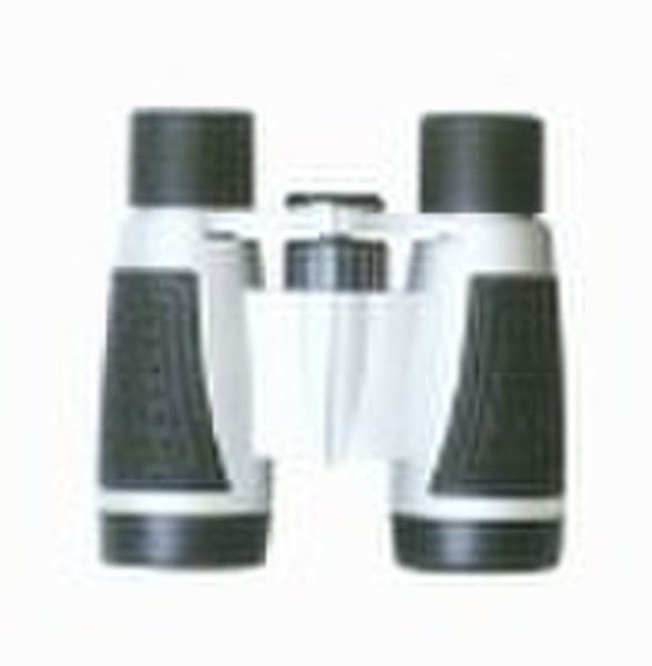 BD24 4X30  Binoculars