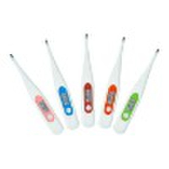 CE Certification-Digital Thermometer