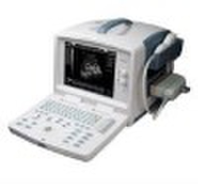 Portable Diagnostic Ultrasonic Device