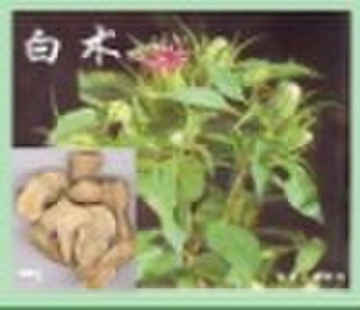 Rhizoma Atractylodis Macrocephalae (BaiZhu)chinese