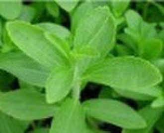 stevia