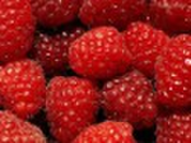 Chinese herbal extract, Raspberry P.E., raspberry