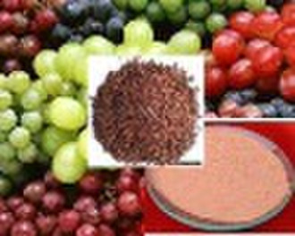 Chinese Herbal Extract,Grape Seed Extract, Grape S