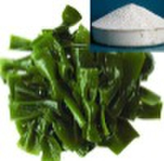 Chinese Herbal Extract,laminaria japonica-extract,