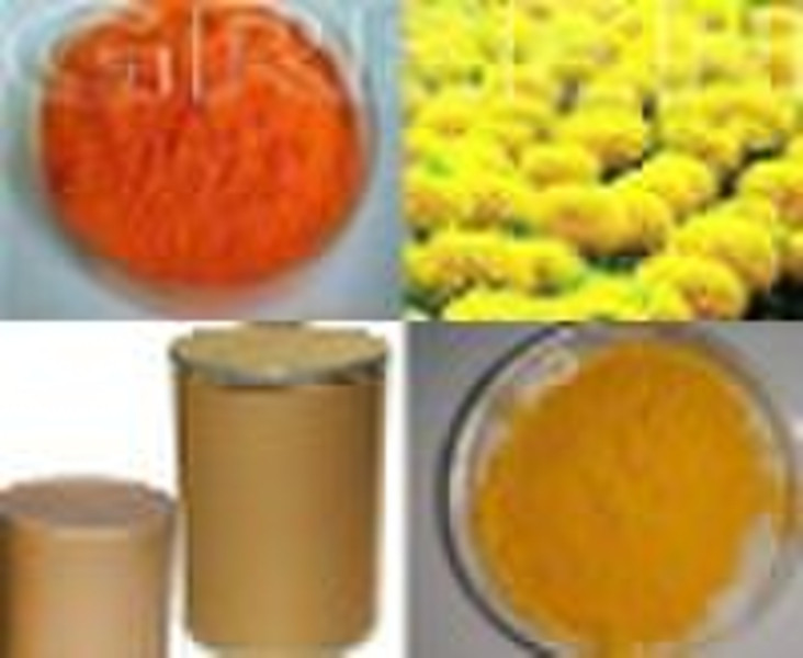 Chinese herbal extract,Marigold Extract,Marigold P