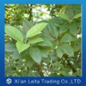 Heterophyllous Wing Seedtree Root P.E.  10%,20%...