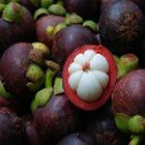 Mangosteen Extract 10%-90%