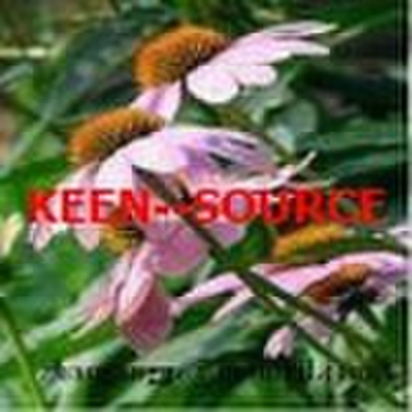 Echinacea Herb P.E.