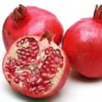 Pomegranate Rind P.E.