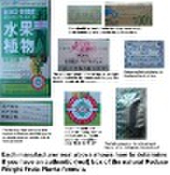 Original Fruta Planta Weight loss products