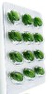 100% Original Meizitang Botanical Slimming Soft ge