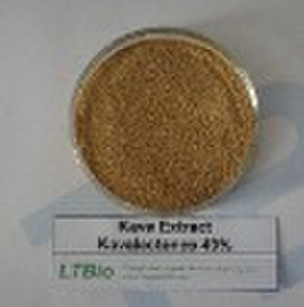 Top quality Kava Extract