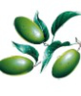 Olive Leaf extract(Oleuropein & Hydroxytyrosol