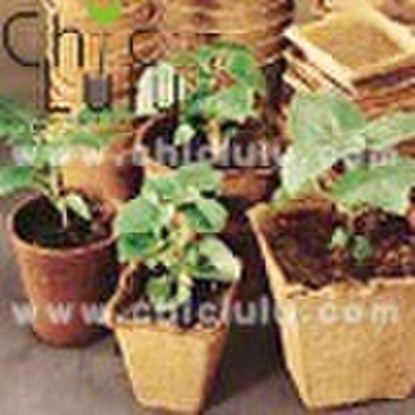 degradable paper flowerpot with DIY vagetable plan