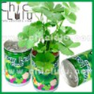 Can plant, plant grow in can